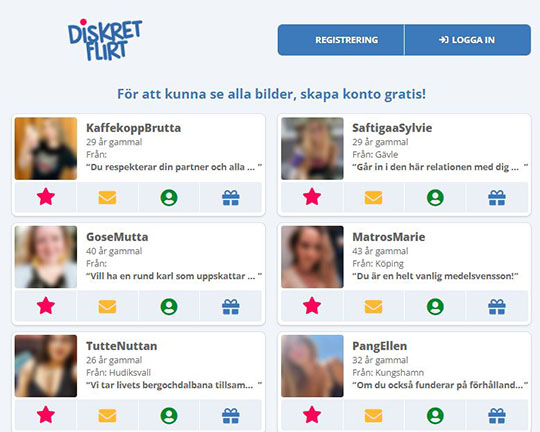 DiskretFlirt Logo