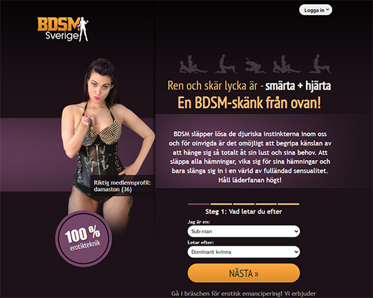 BDSM Sverige Logo
